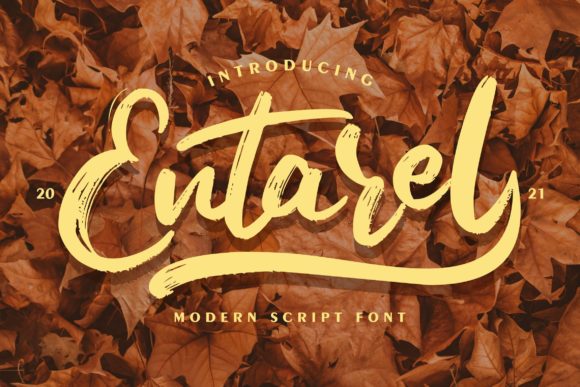 Entarel: The Script Font for High-Impact Campaign Design