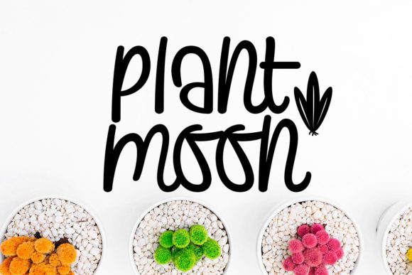 Plants and Moon: A Whimsical Script Font for Handmade Brands