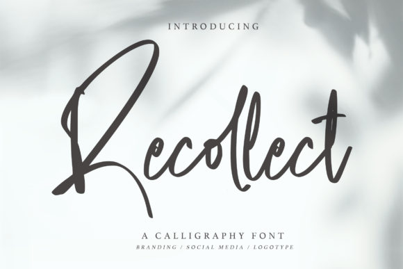 Recollect: Elevating Digital Brand Identity with Flowing Script Typography