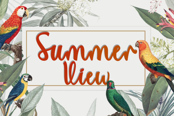 Summer View Typeface Review: Elevating Digital Brand Identity